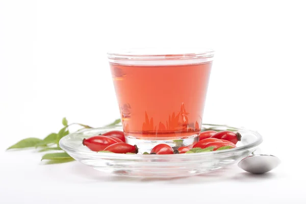 Rosehip tea on white background — Stock Photo, Image