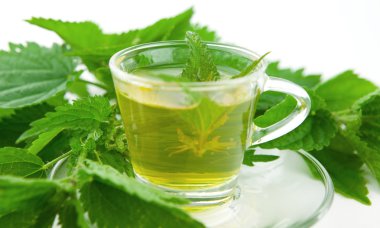 Nettle tea with nettle plant inside tea cup, white background, isolated clipart