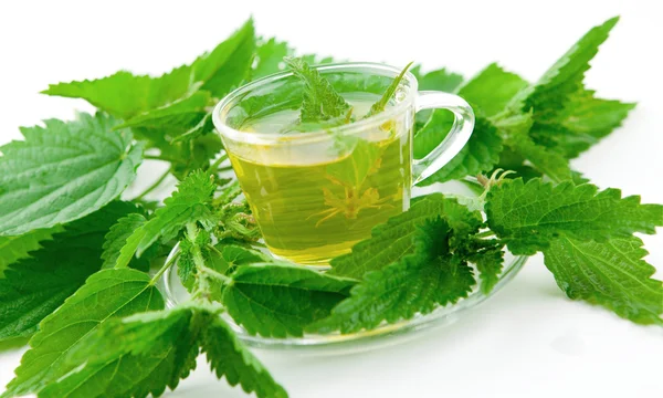Green and healthy nettle tea with stinging nettle, white background, isolated — Stock Photo, Image