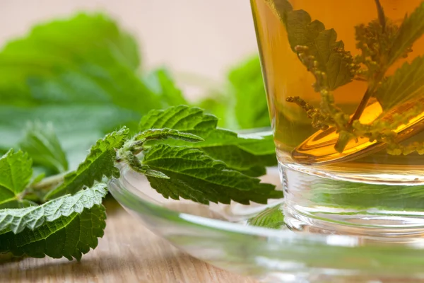 Nettle tea closeup with stinging nettle inside teacup — Stock Photo, Image