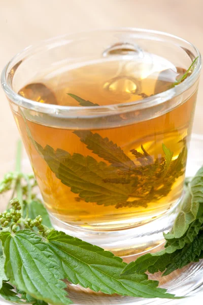 Té de ortiga con ortiga — Foto de Stock