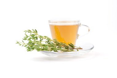 Demet taze kekik, kekik çayı beyaz arka plan, izole,