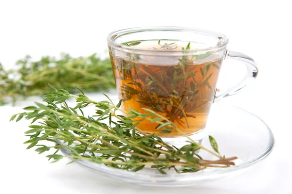 Té de tomillo con manojo de tomillo fresco al lado, servido sobre fondo blanco, aislado — Foto de Stock