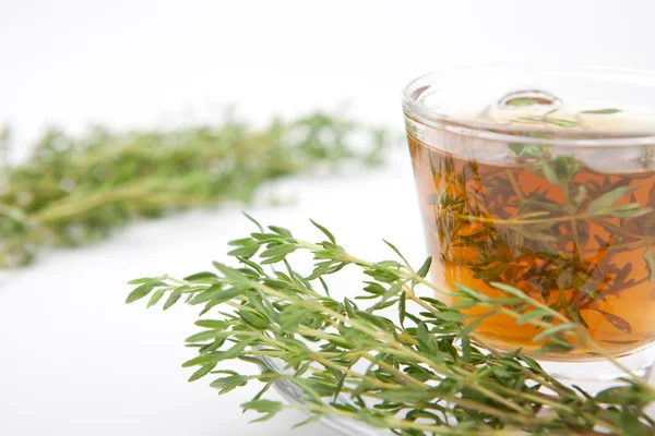 Medicinal thyme tea with bunch of fresh thyme inside teacup, white background, isolated, — Stock Photo, Image