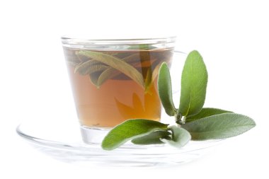 adaçayı adaçayı yaprağı çay fincanı, beyaz arka plan, izole, taze adaçayı yaprağı çay fincanı önünde içindeki çayla closeup