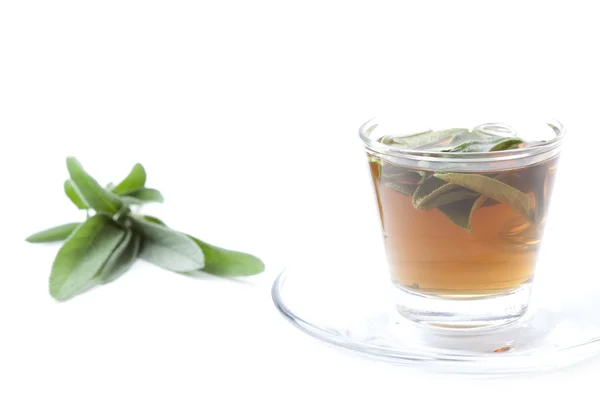 Wide shot of sage tea on white background, landscape format, fresh and green sage leaf inside teacup and in background — Stock Photo, Image