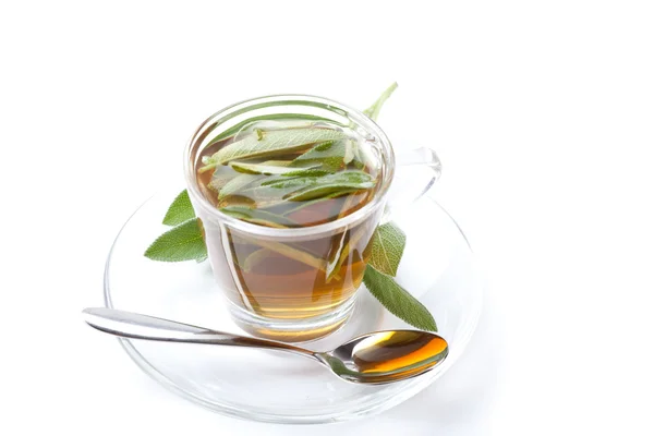 Medicinal sage tea with fresh sage leaf inside teacup, white background, isolated, silver spoon, — Stock Photo, Image