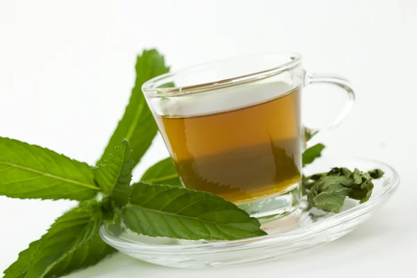 Una taza de té llena de té de menta saludable, rodeado de hojas de menta fresca, fondo blanco, aislado —  Fotos de Stock