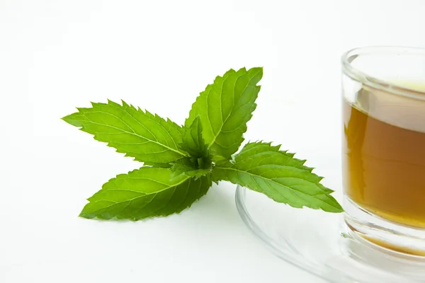 Té de menta con menta fresca, hoja de menta al lado de un fondo transparente y blanco, aislado —  Fotos de Stock