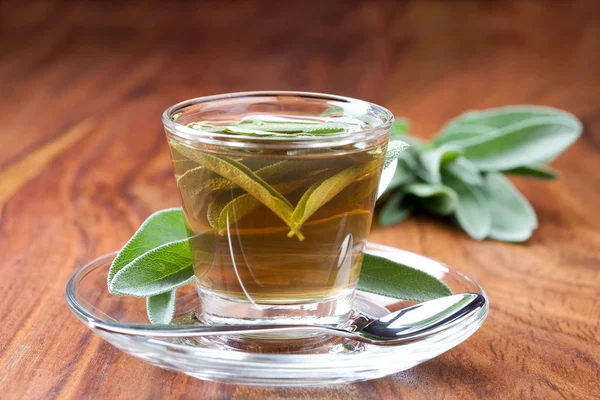 Sage Tea for Weight Loss | Stock Photo