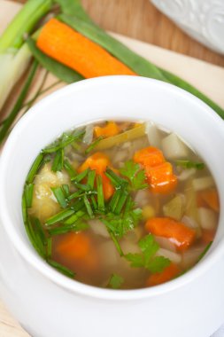 çorba, sebze ve taze otlar, havuç, soğan, kereviz,