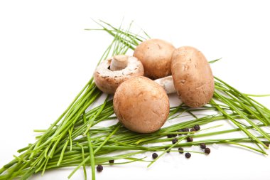 Mantar, maydanoz, biber ve tuz beyaz arka plan üzerinde