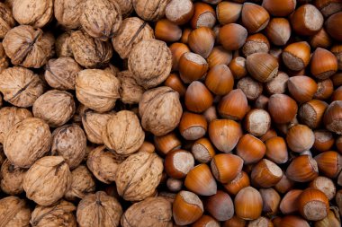 Ceviz, fındık, portre