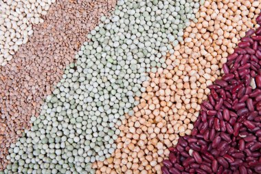 Baklagiller, fasulye, nohut, yeşil bezelye, mercimek ile satırları,