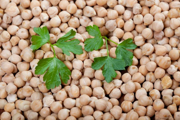 Uncooked chick peas with fresh parsley — Stock Photo, Image