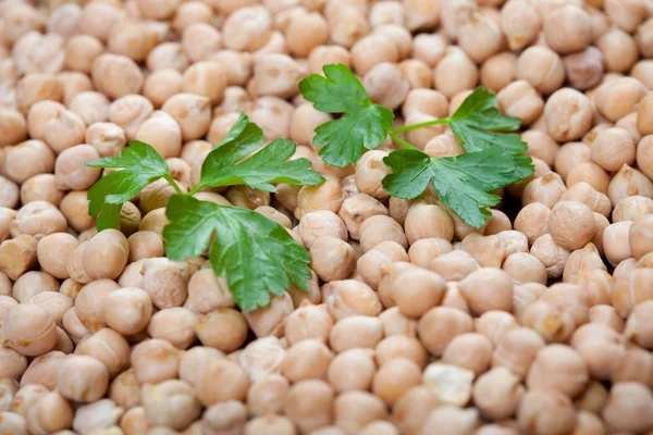 Heap of chick peas with fresh parsley — Stock Photo, Image