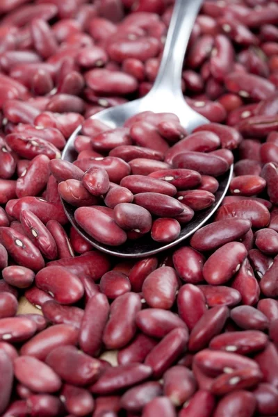 Uncooked red kidney beans, close up