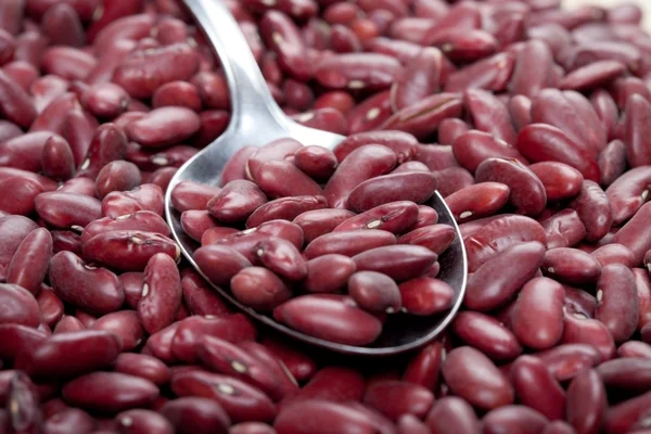 Uncooked red kidney beans with silver spoon — Stock Photo, Image