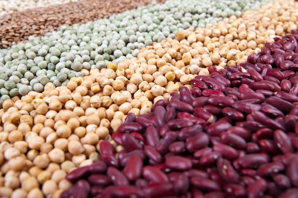 Fasulye, mercimek ve bezelye ile renkli baklagil karıştırın
