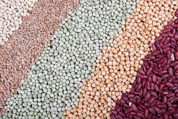 Líneas de legumbres, con frijoles, garbanzos, guisantes verdes, lentejas , —  Fotos de Stock