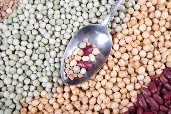 Mix of legumes with silver spoon — Stock Photo, Image