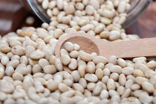 Uncooked white beans — Stock Photo, Image