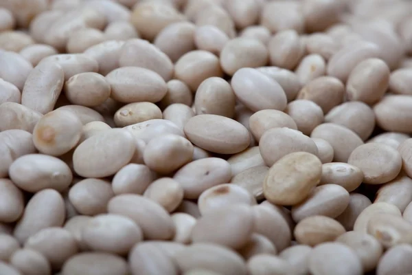 White beans close up, food background — Stock Photo, Image