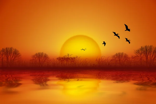 Pastoral yaz deniz manzarası illüstrasyon deniz üzerinde parlak gün batımı ile