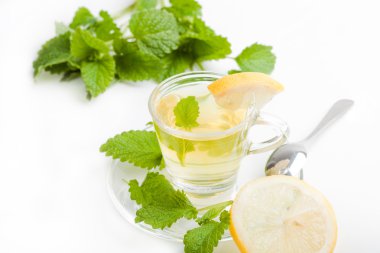 Beyaz zemin üzerine yeşil yaprak ile bitkisel Melisa çayı