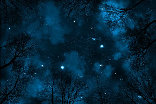 Spooky low angle view on starry night sky with blue nebula, view trough trees in forest — Φωτογραφία Αρχείου