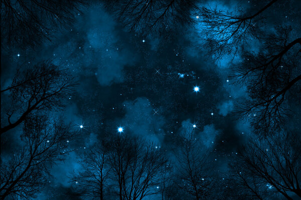 Spooky low angle view through trees up to starry night sky with blue nebula,