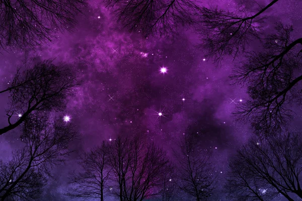 Colorful nebula night sky, low angle view through trees — ストック写真