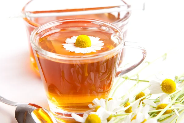 Té de hierbas de manzanilla con flor fresca y miel sobre fondo blanco — Foto de Stock