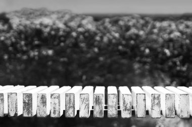 Yatay siyah beyaz park tezgah bokeh arka plan