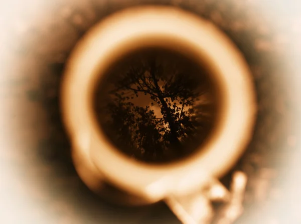 Orizzontale marrone tazza di caffè alberi riflessione bokeh sfondo — Foto Stock