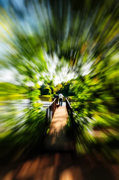 Zoom de casal em abstração — Fotografia de Stock