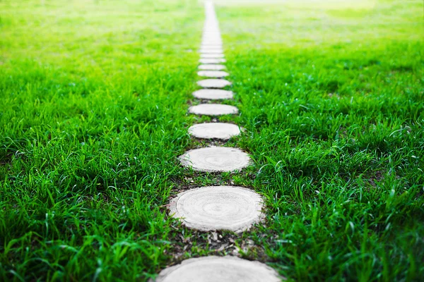 Vertikala skog sökvägen footway på grönt gräs bakgrund — Stockfoto