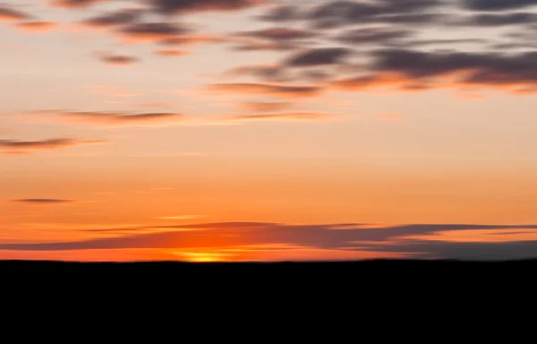 Delineamento da floresta do por do sol laranja — Fotografia de Stock