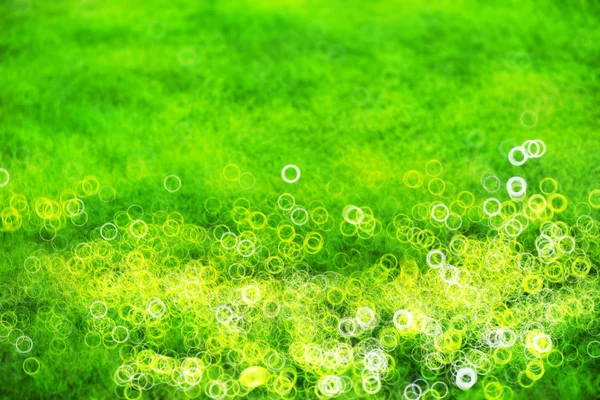Zöld gyep, könnyű szivárgás bokeh háttérrel — Stock Fotó