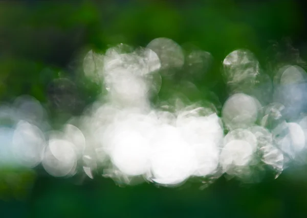 Horisontella dramatiska gröna skogen bokeh bakgrund — Stockfoto