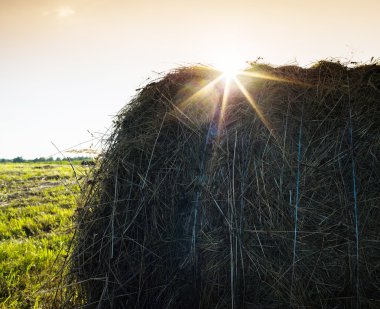 Yatay hareketli günbatımı saman yığını güneş patlaması arka plan backdro