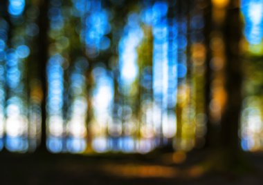 Canlı orman ufuk Gölü bokeh kompozisyon soyutlama