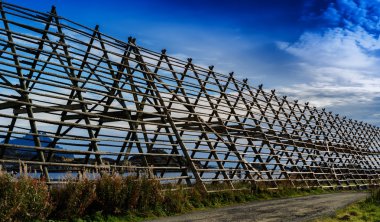 Yatay Norveç boş balık kuru perspektif arka plan backdr