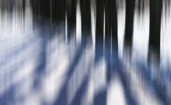 Vertical motion blur árvores abstração fundo — Fotografia de Stock