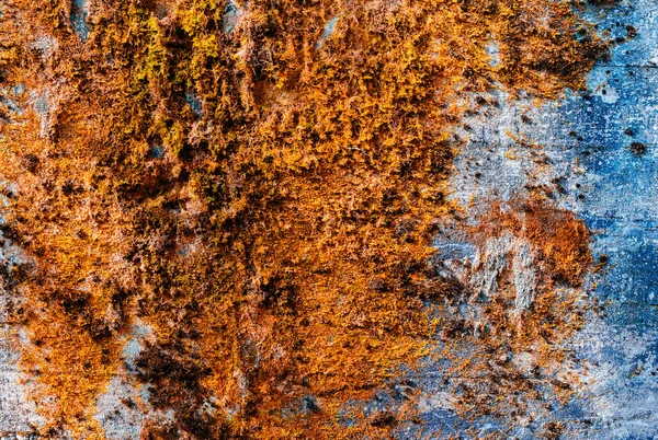 Horizontal vintage orange moss rusty concrete wall texture backd — Stock Photo, Image