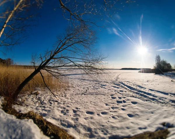 Horisontella levande vinterlandskap med solen strålar och fotspår o — Stockfoto