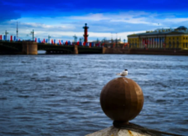 Horizontal vivid city Saint Petersburg quay bokeh background bok — Stock Photo, Image