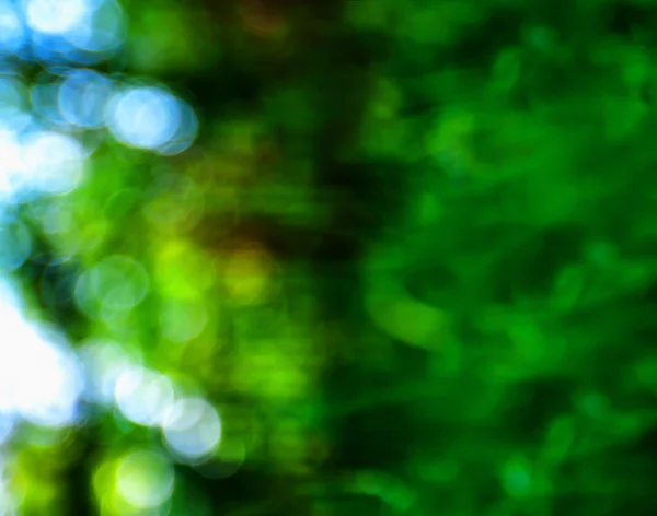 Horizontale Präsentation grün Bokeh Hintergrund Hintergrund — Stockfoto