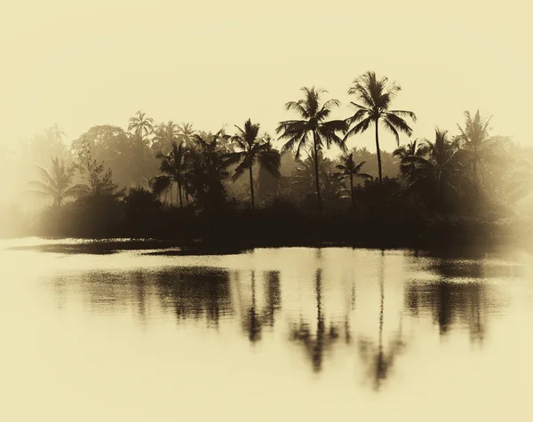 Horizontal vintage sepia palms reflections on lake background ba — Stock Photo, Image