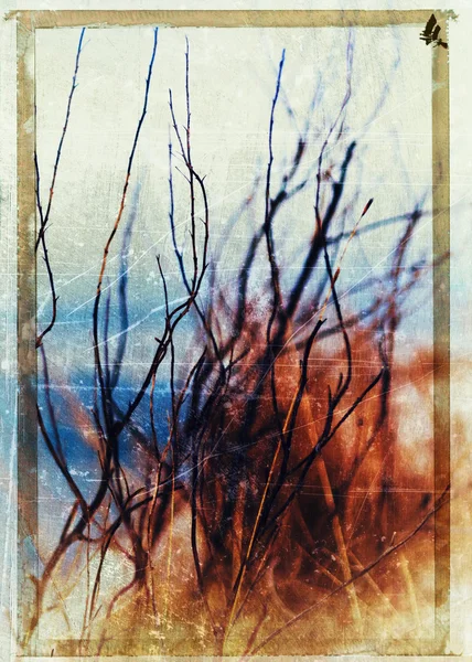 Cartão postal vintage vertical Noruega outono dramático ramos bokeh — Fotografia de Stock